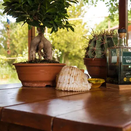 Santa Cruz Country Ferienhaus *