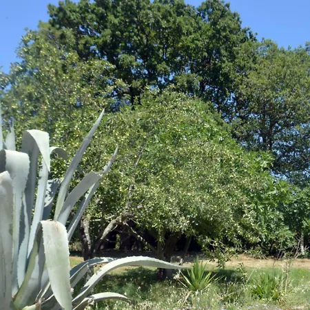Santa Cruz Country Dom wakacyjny *
